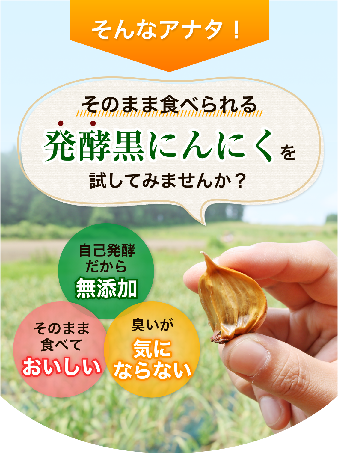 そんなアナタ！そのまま食べられる発酵黒にんにくを試してみませんか？自己発酵だから無添加、そのまま食べておいしい、臭いが気にならない