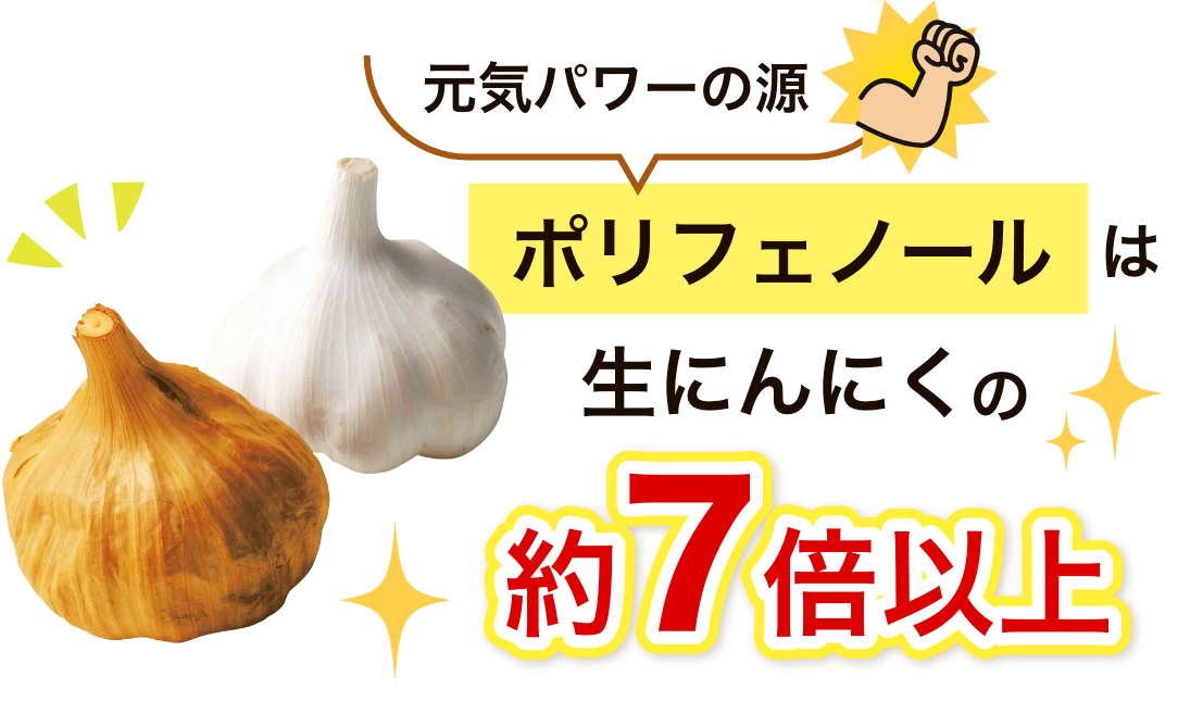 元気パワーの源ポリフェノールは生にんにくの約7倍以上