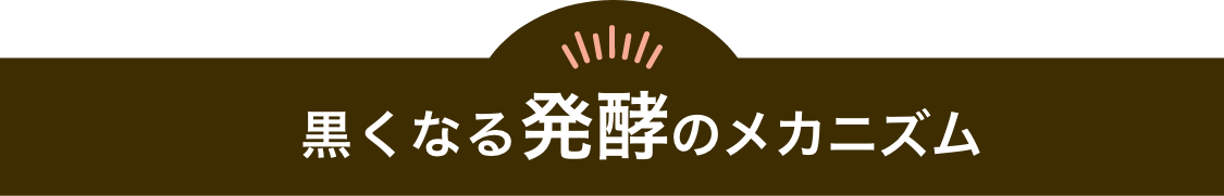 黒くなる発酵のメカニズム