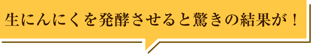 生にんにくを発酵させると驚きの結果が！